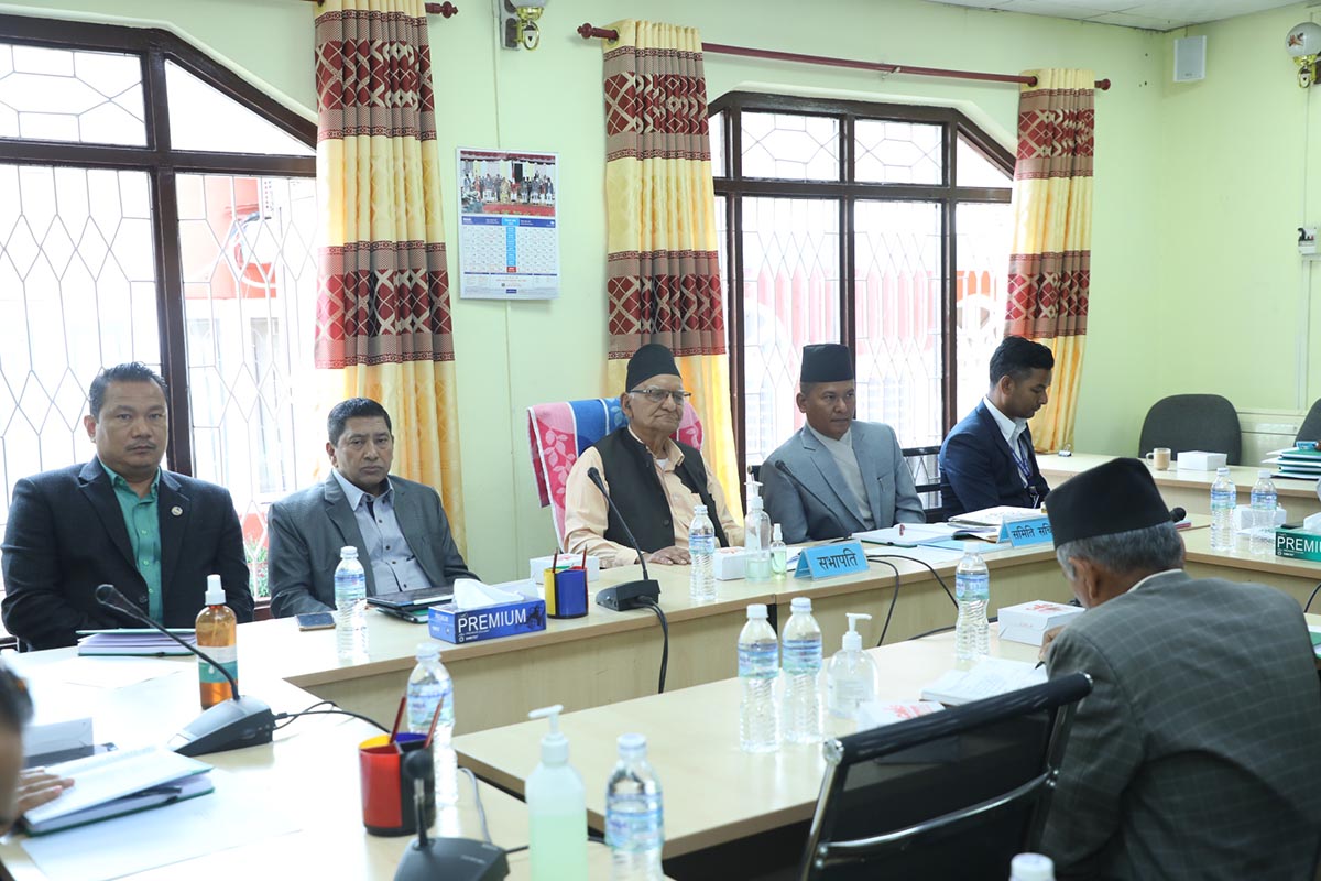 सुशासन समितिको बैठक (2)1684224134.JPG